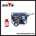 BISON (CHINA) BS7500BGHD OEM Gasmotor Stromerzeuger